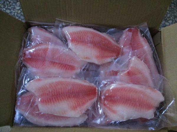 How popular is tilapia fish?