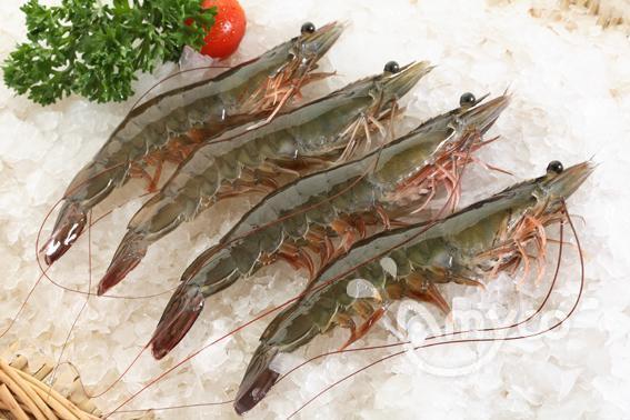 How is the shrimp price going?